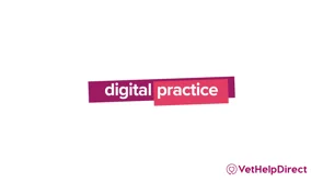 screenshot of Digital Practice Vet